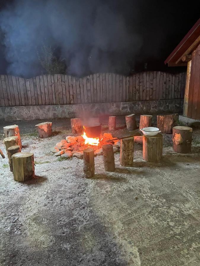 Pensiunea Ducu Scoreiu Экстерьер фото